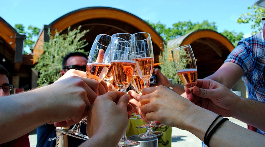 Group of people toasting with clear glasses in an outdoor garden setting, celebrating together under a gazebo